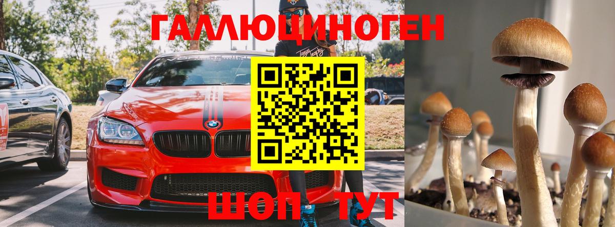 где купить наркоту  Псилоцибиновые грибы мухоморы  Галлюциногенные грибы Psilocybine cubensis  Вход с VPN  Химки 